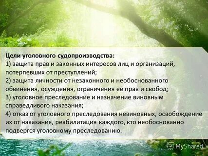 Вынесено незаконно и необоснованно