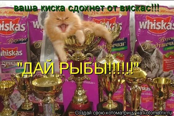 Ваша купила бы вискас. Ваша киска купила бы вискас. слоган вискас. киска вискас. whiskas ваша киска.