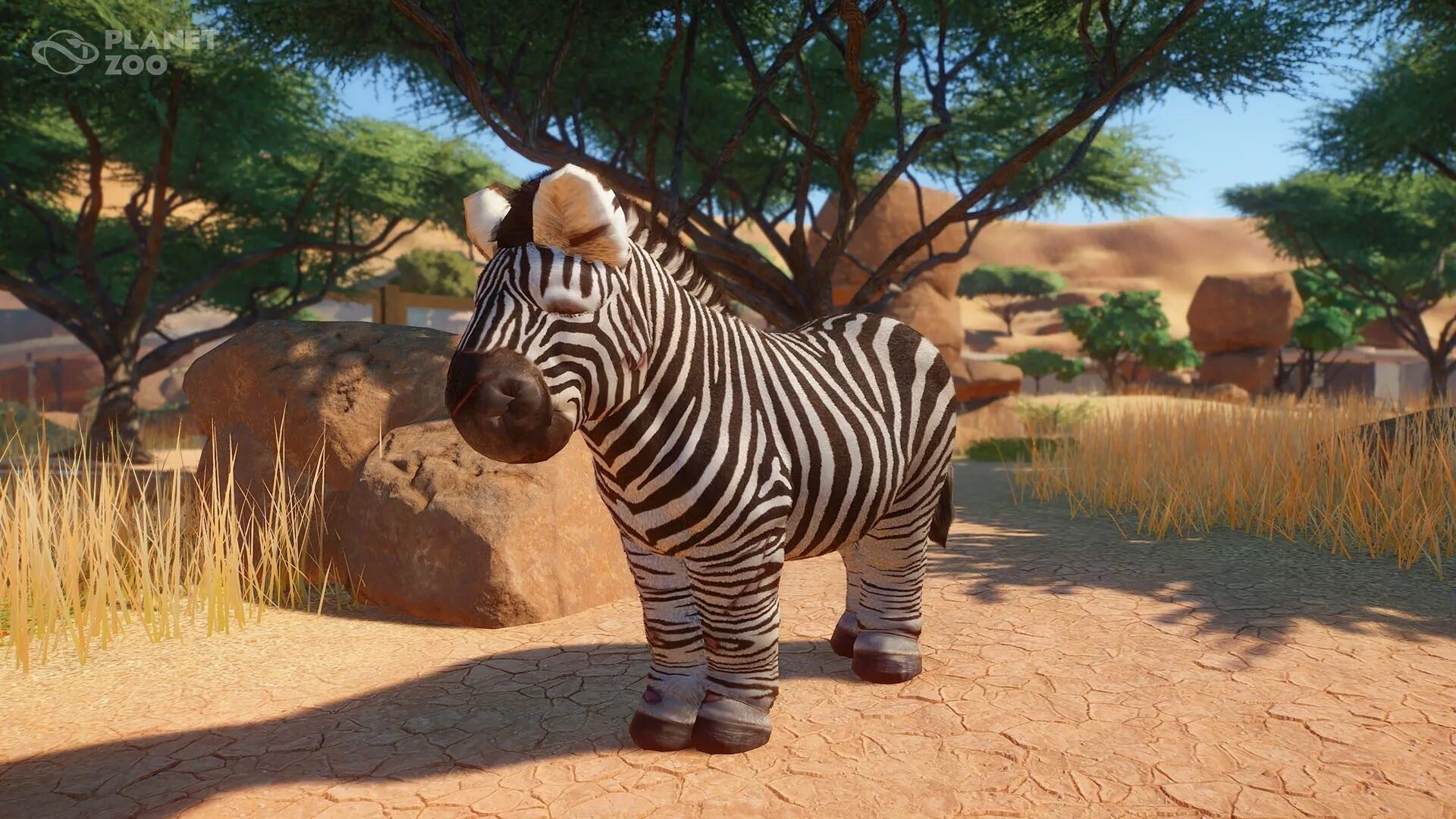 Планет зу. Planet zoo зоопарки. красивый зоопарк в игре. planet zoo животные. планет зуу зоопарки.