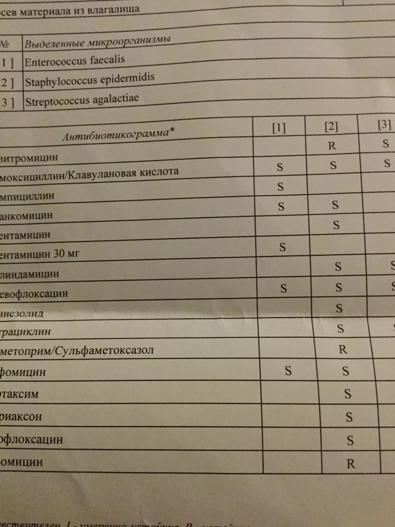 Бак посев мазок расшифровка. Анализ мазка на бак посев. Результаты бак посева мазка. Бак посев мазка из влагалища.