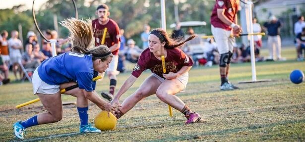 Quidditch cup. Квиддич с древности до наших дней. Празднуют победу в квиддич. Квиддич в Молодежном центре. Квиддич коллаж известных команд.