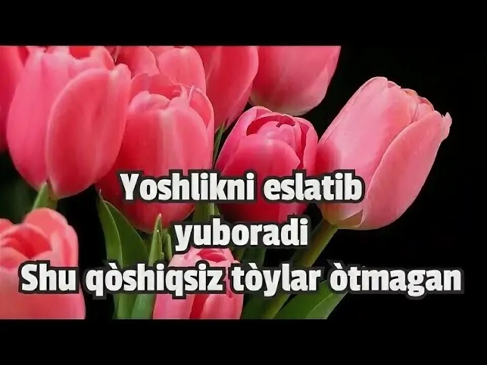 Бу турфа гуллар айтинг. Турфа гуллар айтинг наргиз. мп4 турфа гуллар. shohruhxon turfa gullar. бу турфа гуллар айтинг мухаббат богиданми.