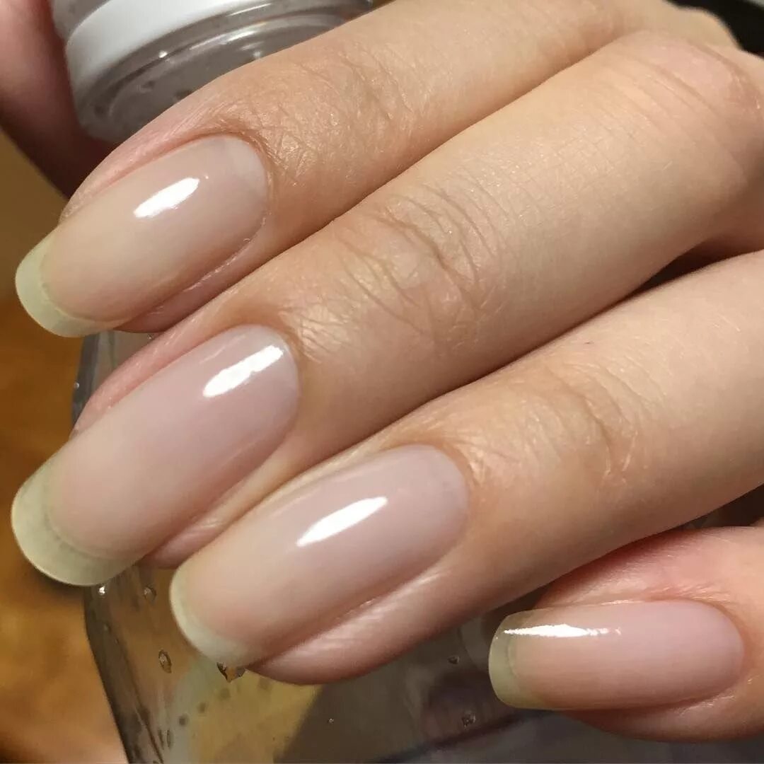 маникюр под натуральные ногти. натуральный гель для ногтей. красивый френч на короткие ногти. ногти естественный маникюр. ногти с прозрачным гелем.