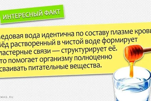 Вода с медом на тощак. Медовая вода. Чем полезна вода с медом. Полезна ли вода с медом. Польза воды с медом.