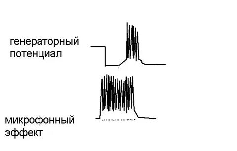 Генераторный потенциал это