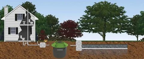 Field system