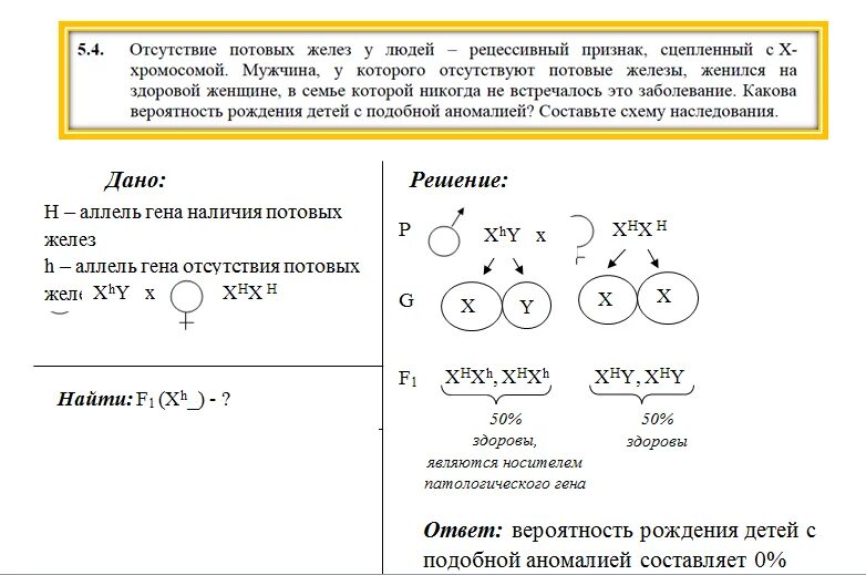 Мужчина страдающий глухотой и дальтонизмом. Признак отсутствие потовых желез. Отсутствие потовых желез рецессивный признак. Ген отсутствия потовых желез. Признак рецессивный сцепленный с у-хромосомой.