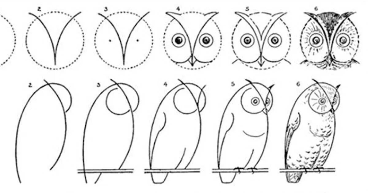 Уроки рисования 6 класс. Сова рисунок. Схемы рисования для дошкольников. Рисунки для рисования. Простые рисунки для начинающих.