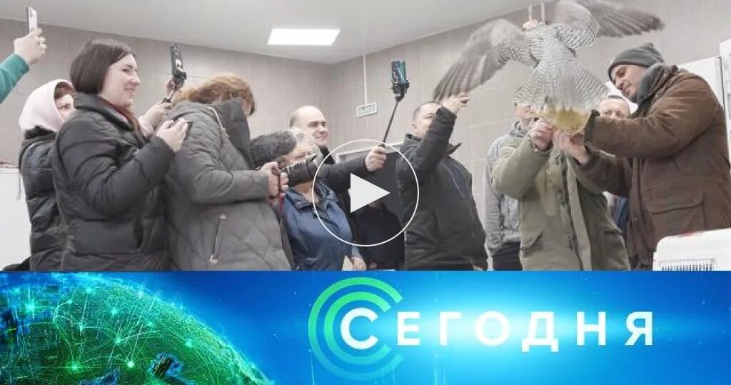 Вести России сегодняшний выпуск. Свежий выпуск новостей видео.