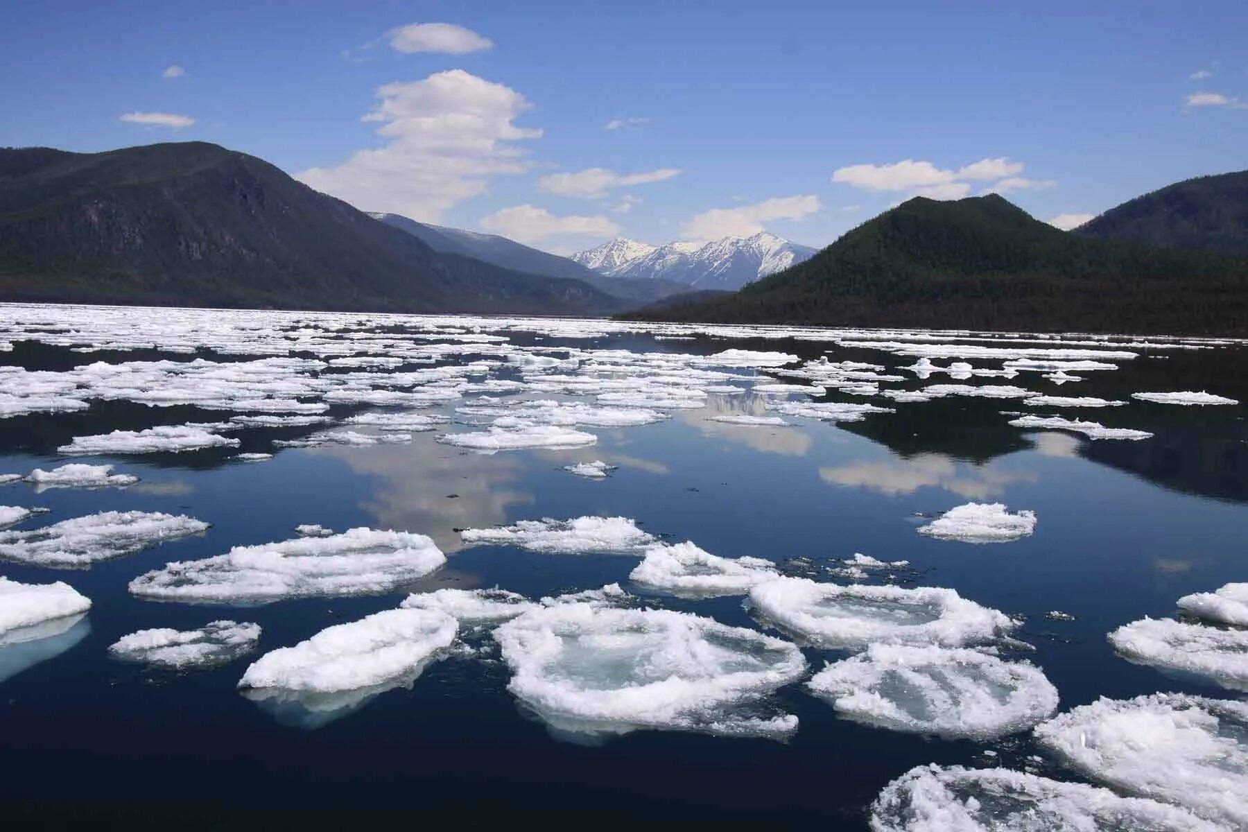 На льдах какого залива обитают белые. Байкальский лед в мае. Байкал весной. Чивыркуйский залив зимой. Байкал зима Чивыркуй.