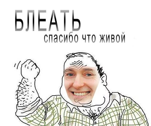 спасибо что живой качество
