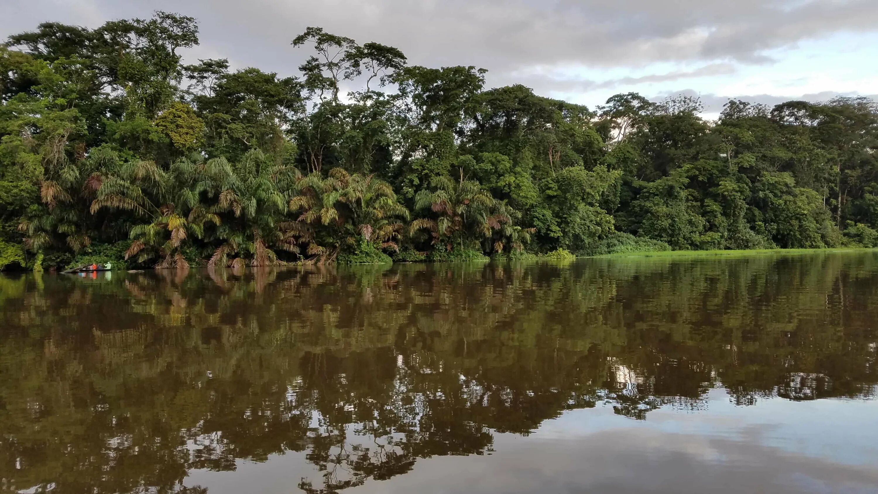 Amazon borneo congo. Тропические леса Демократической Республики Конго. Река Амазонка тропики. Тропический лес реки Конго. Река Амазонка джунгли.