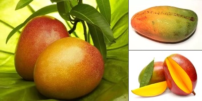 манго фрукт