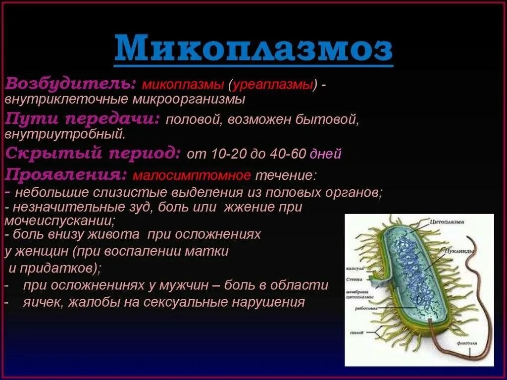 Микоплазмоз у мужчин симптомы. Микоплазмы возбудители. Возбудители микоплазменных инфекций. Микоплазмы являются возбудителями.