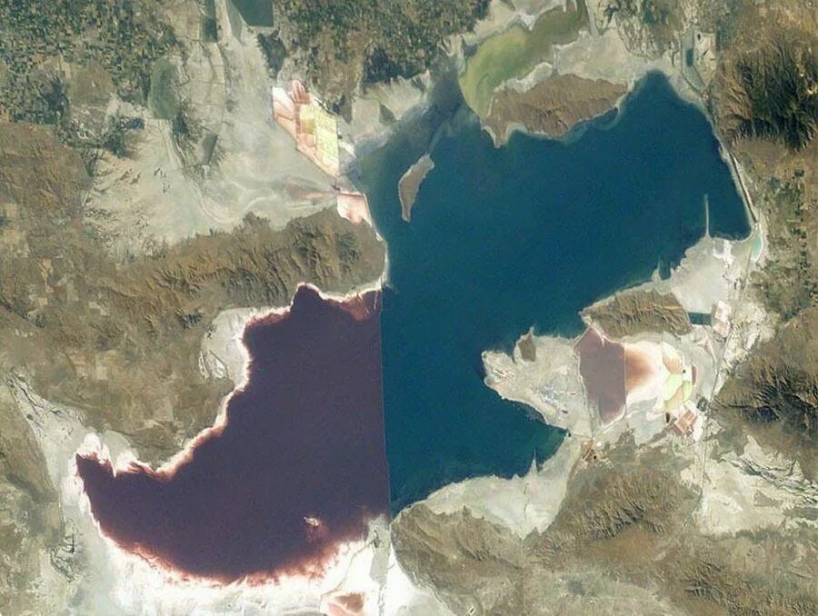 Солт Лейк озеро. Озеро Солт Лейк Сити штат Юта. Большое соленое озеро в Северной Америке. Большое соленое озеро Юта. Большое соленое озеро площадь