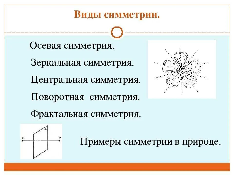 Какие типы симметрии бывают. Виды симметрии. Виды осей симметрии. Виды симметрии в природе. Виды осевой симметрии.