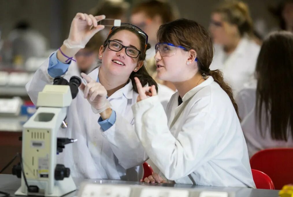 научная инфографика. научный проект студента. исследовательская лаборатория. презентация. индивидуальный проект школьников.