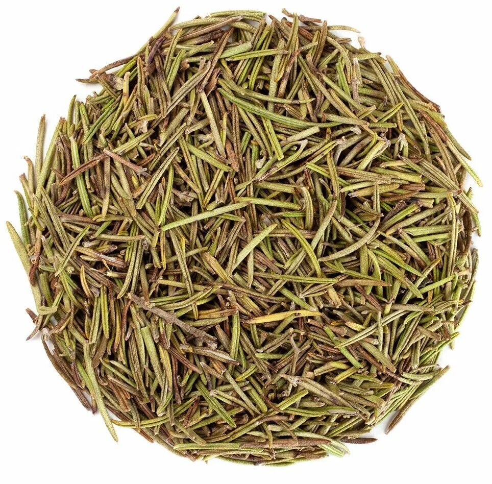 травяной чай "розмарин". отвар розмарина. розмариновый чай. розмариновый чай. розмариновый чай.