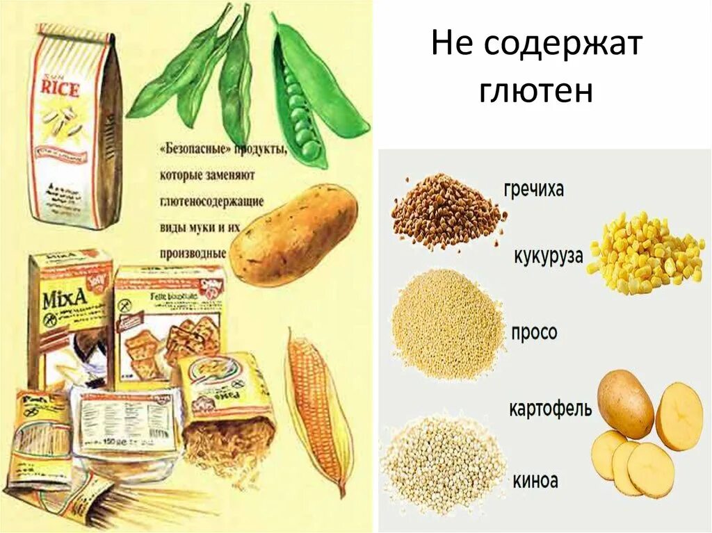 Рис относится к группе. Злаки содержащие глютен. Продукты содержащие глютен. Продукты без глютена. Глютено содежащие продукт.