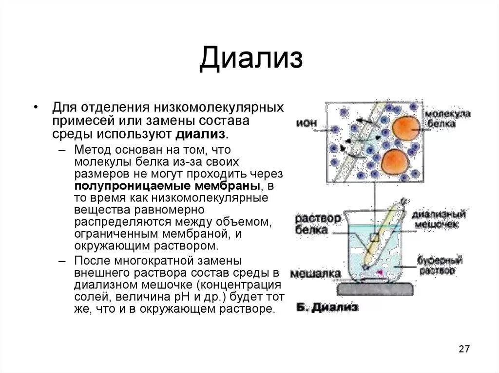 Методы очистки белка. Диализ принцип метода. Диализ метод разделения белков. Диализ метод очистки белков. Диализ схема проведения биохимия.