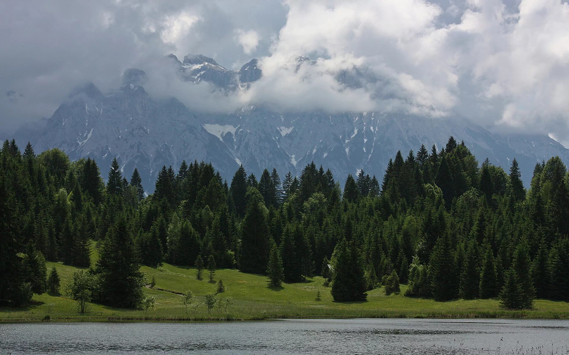 В дали видны горы. Лес вдалеке. Панорама леса. Панорама природа. Природа горы панорама.