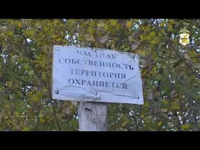 Явка в смоленской области 2024