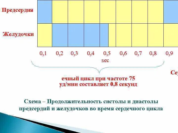 Дайте частоту 75. Продолжительность диастолы левого желудочка при ЧСС 75 уд./мин. равна.. Продолжительность диастолы предсердий при ЧСС 75 уд./мин. равна. Длительность систолы предсердий при ЧСС=75 уд/мин составляет (с). Продолжительность одного сердечного цикла при ЧСС 75 уд./мин. равна....