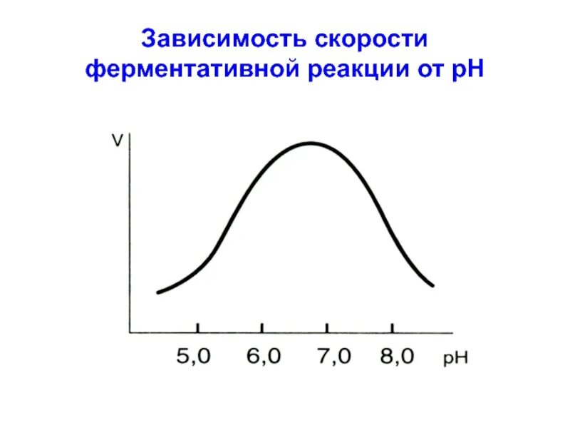 Зависимость скорости ферментативной реакции от фермента. Зависимость фермента от РН. Зависимость ферментативной реакции от PH. Зависимость скорости ферментативной реакции от РН.