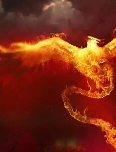 Возрождение феникса 5. Птица Феникс. Птица Феникс Восставшая из пепла. Огненный дракон. Феникс возрождается из пепла.