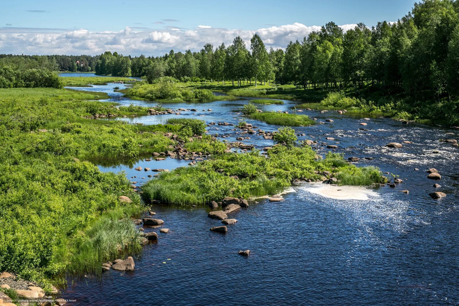 Речная россия. Река. Реки России. Ректа. Река фото.