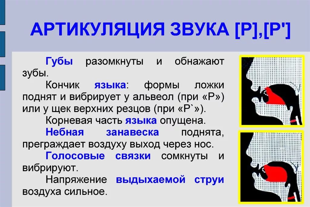 Правильная характеристика звука. Артикуляция звука р. Правильная артикуляция звука р. Артикуляционный профиль звука р. Артикуляционный уклад звука с.