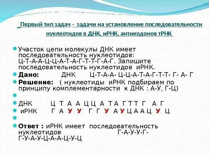 Задачи на Цепочки ДНК И РНК. Задачи на последовательность нуклеотидов ДНК И РНК. ДНК РНК ИРНК ТРНК таблица. Задачи на нуклеотиды ДНК.