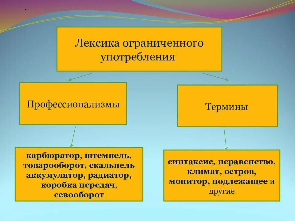 Профессиональная и специальная лексика. Лексика термины. Термины примеры лексика. Профессиональная лексика термины и профессионализмы. Лексика примеры употребления