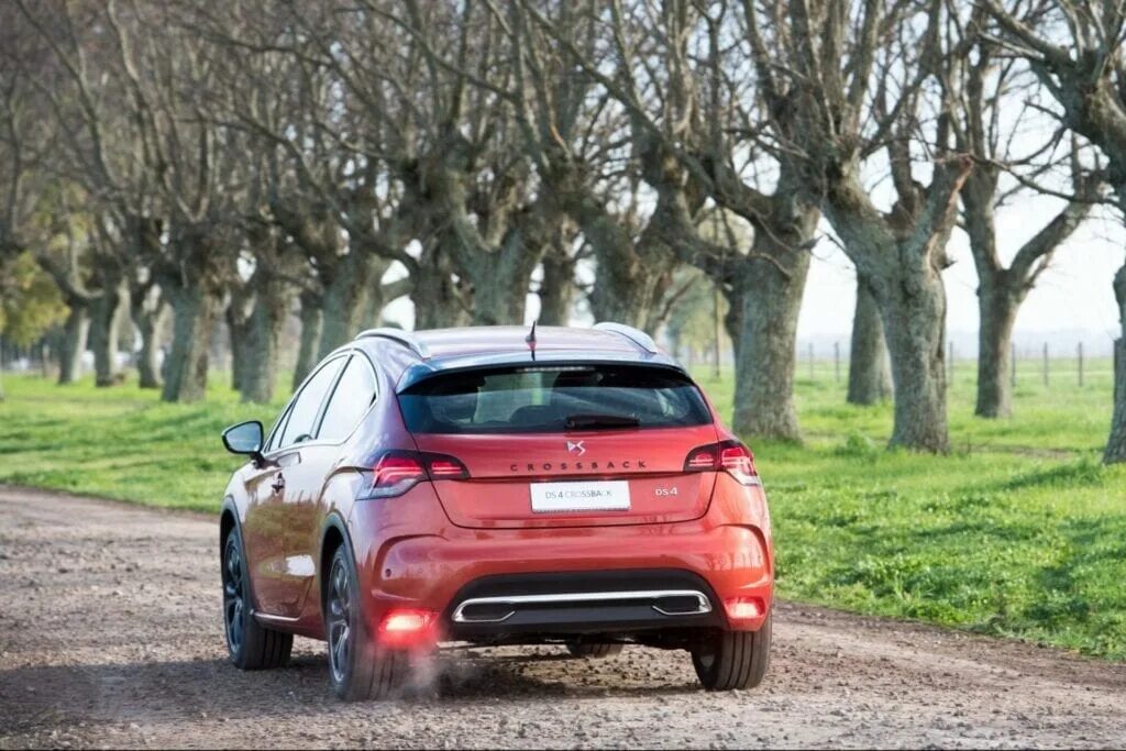Ds 4p