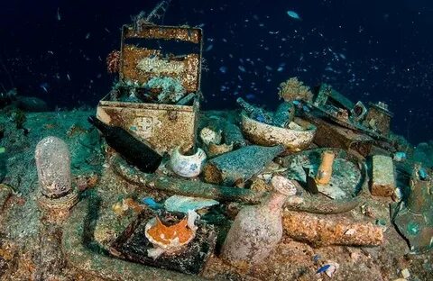 Морская находка