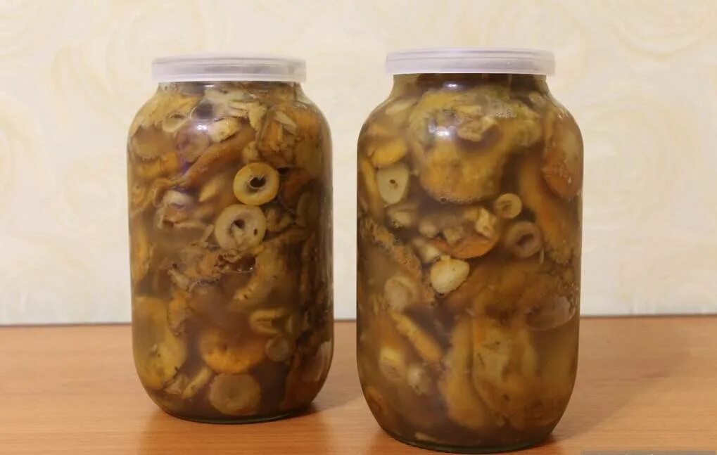 Маслята на зиму жареные в банки. Опята в банке домашние. маслята на зиму заготовки. жареные маслята в банке на зиму.