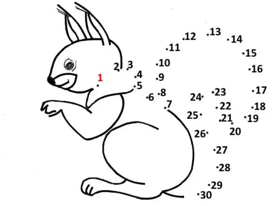 Белка цифра 4. Белка по цифрам для детей. Рисование по цифрам. Рисование животных по цифрам для детей. Рисунки по точкам.