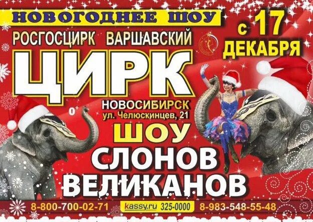 Новосибирский цирк шоу слонов. Программа цирка. Цирк Новосибирск афиша. Программа цирка в Новосибирске.