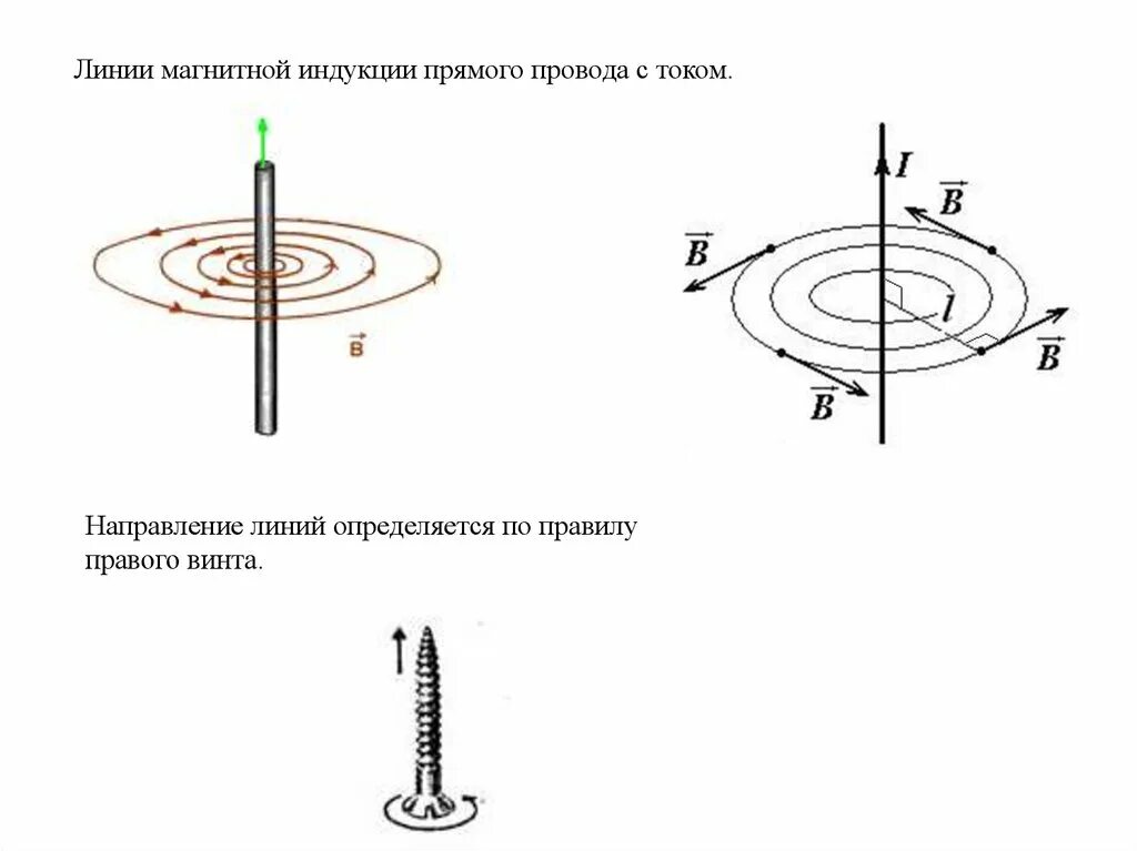 Как выглядят линии индукции МП прямого провода с током. Линии магн индукции для прямого проводника. Линии магнитной индукции и ток. Линии магнитной индукции прямого тока.