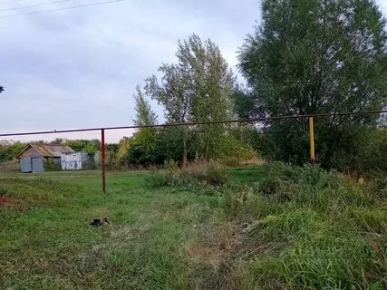 Кинель черкасский красная горка