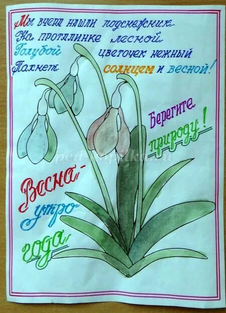 Акция первоцветы в детском саду. Плакат первоцветы. Рисунок на тему берегите первоцветы. Рисунки первоцветы для детей в детском саду. Экологическая акция первоцветы в детском саду.