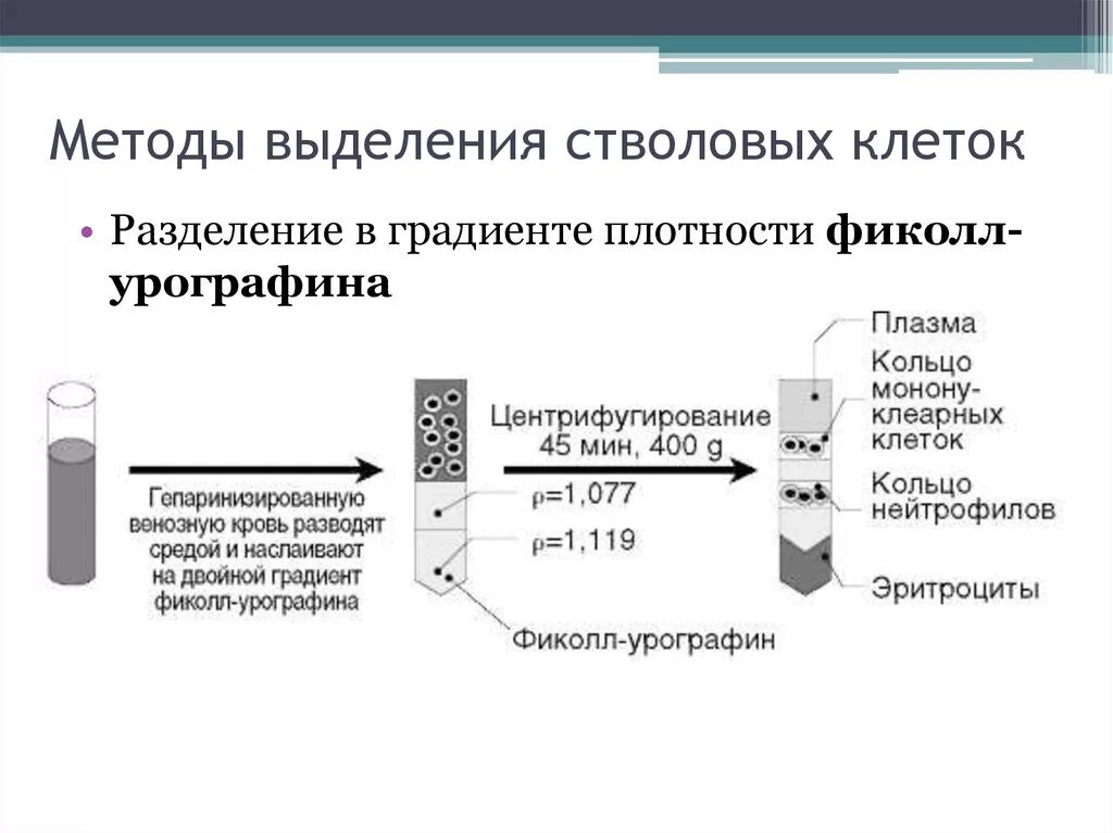 Методы выделения. Методы выделения клеток. Метод стволовых клеток. Методика выделения клеток. Разделение путем выделения