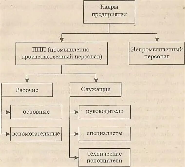 Кому принадлежали промышленные предприятия. Промышленно-производственный персонал. Классификация промышленно производственного персонала. Состав промышленно-производственного персонала. Промышленно-производственный персонал (ППП.