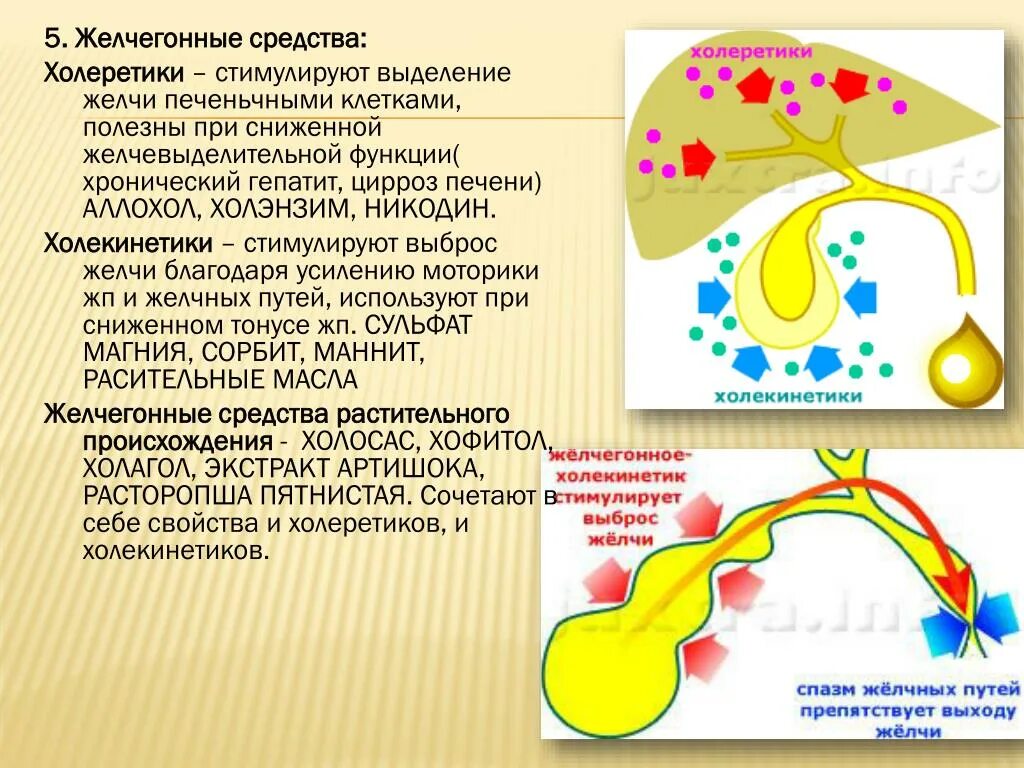 Какие желчегонные препараты можно. Желчегонные препараты. Холеретики и холекинетики. Желчегонные препараты при застое желчи. Препараты для выведения желчных кислот.