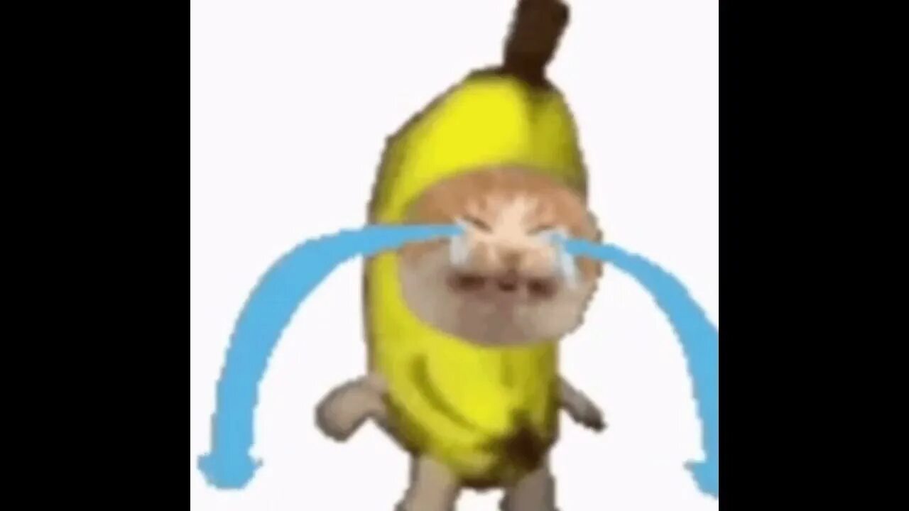 Плачущий банан мем. Кот в костюме банана. Котик банан Мем. Кот в костюме банана плачет. Котенок в костюме банана Мем.