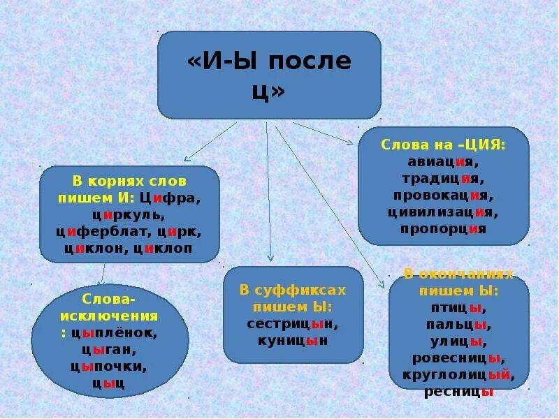 После ц примеры. И Ы после ц. И Ы после ц в корне. Слова с и ы после ц. Слова с буквой и в корне после ц.