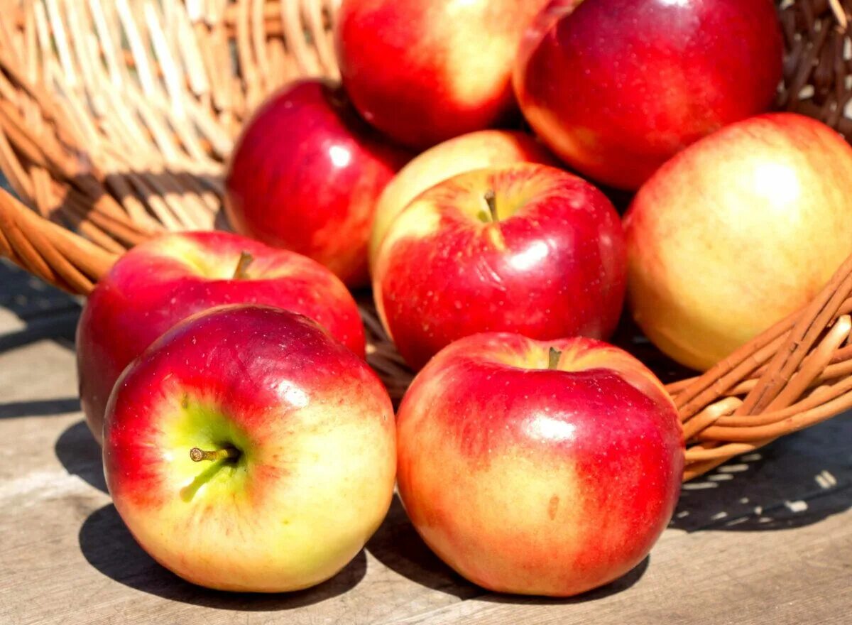 Яблоки. Красивое яблоко. Красивые спелые яблоки. Яблоки свежие.