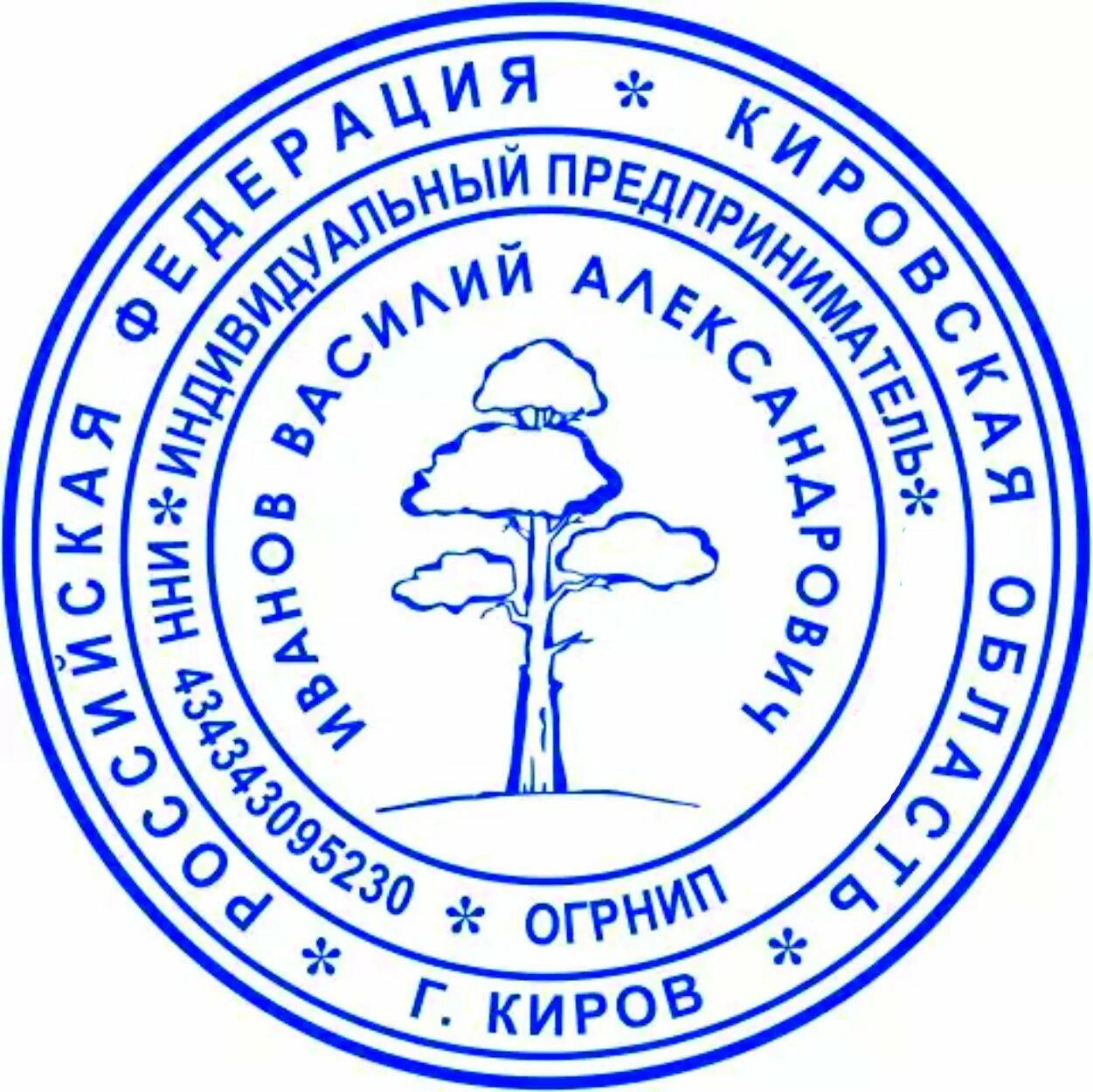 Печати кировский район. Печать. Оттиск печати. Печать ИП. Печать образец.