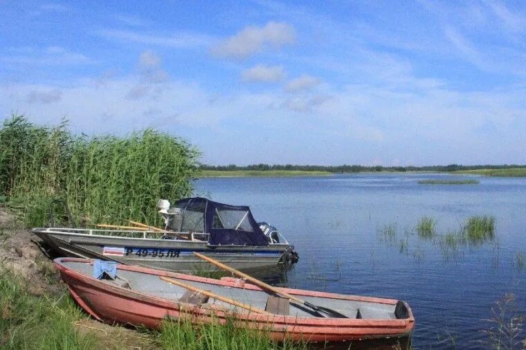 Озеро каратай псковская область. Пляж лесицкое озеро. Алоль озеро белое. Озеро алоль псковская. Зеркальное озеро псков.