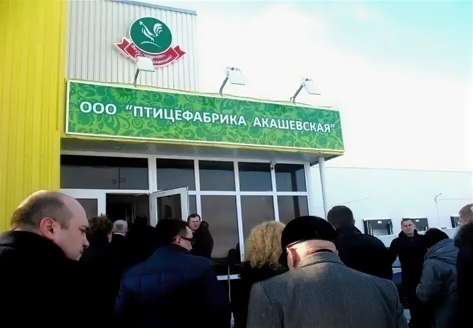 Птицефабрика акашевская